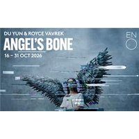 Angel Bones - English National - Chademo To Ccs Combo 1 Adapter review and price